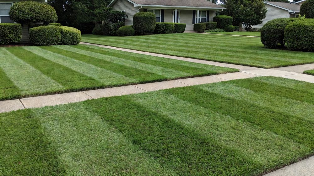 Same yard mowed and edged